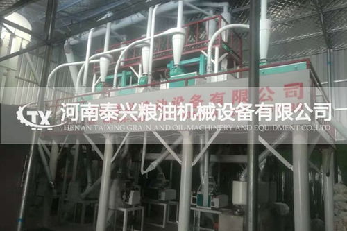 福安磨小麥面生產(chǎn)線配置清單與專業(yè)設(shè)計服務(wù)方案